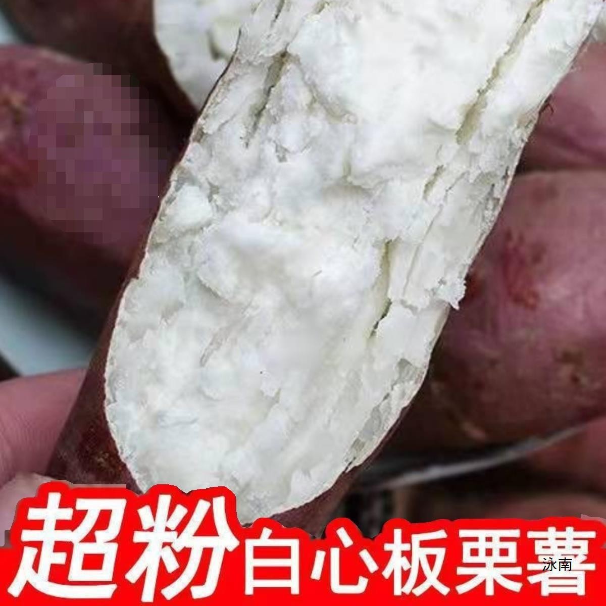 白心板栗红薯9斤新鲜蔬菜当季现挖农家沙地番薯地瓜5斤山芋批发