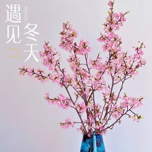 Pink Cherry Blossom Hydroponic Fresh-Cut Flowers Indoor Flower Arrangement Bouquet Living Room Home Green Plants Office New Year's Eve Florals