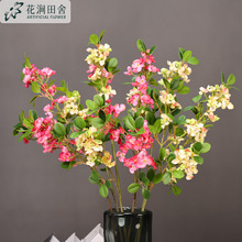 ���Ļ����滨3��С�A�~���� �ٻ��Ĕz���� ��c���򻨷��滨�[��