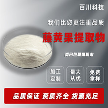 藤黄果提取物 羟基柠檬酸60%HCA藤黄果粉1kg瘦瘦果粉食品原料
