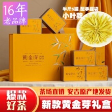 安吉2026年新茶黄金芽250g正宗黄茶新茶茶叶礼盒装嫩芽白茶伴手礼