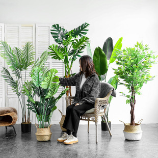 ����ֲ�ﱱ�W���ͼ����ԾGֲ�[�O���˽��҃ȿ͏d����b[��