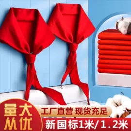 旗帜;广告旗杆;袖章