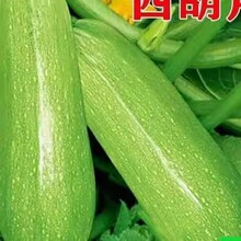 ����һ���s�������J�N�������N��ռ�ϲ����ϷN�������ϷN���ļ���