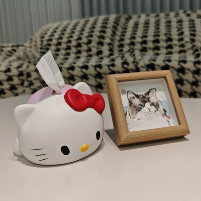 Home Desktop Decoration Tissue Box – Car tissue box/set