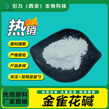 ��ȸ���|98% �ඹ����ȡ ��ȸ���|��  �F؛ ���] ���󃞻�