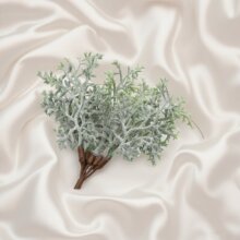 ���������ɘ�֦��ë���� ���ﻨ�h����ϲ�ǺЌW���ֹ�DIY����