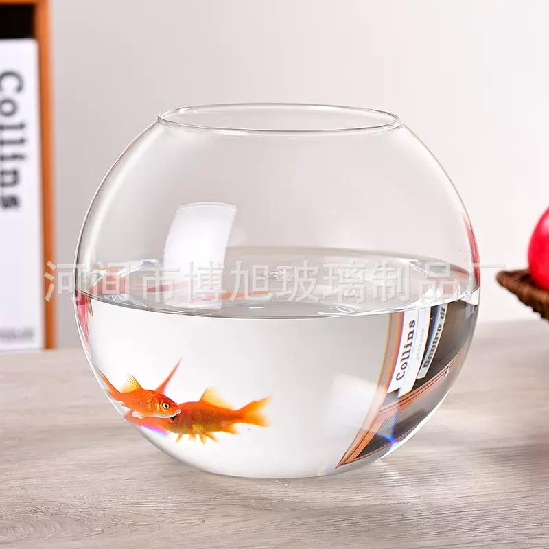 微景观生态瓶DIY景观瓶小型鱼缸储物瓶多功能瓶