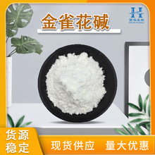 包邮98%金雀花碱 现货直供野靛碱金雀花酮碱苦豆子提取物金雀花碱