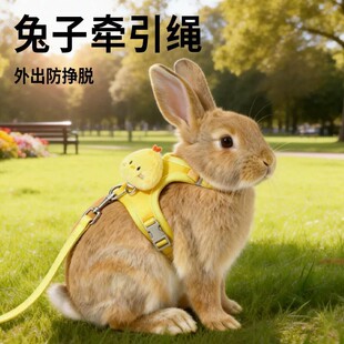 ���Ӡ����K������ÿ��{���������ñ�������ÓС�ʹ���������Ʒ