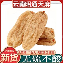云南天麻昭通无硫小草坝纯红天麻8个一斤代磨天麻粉500