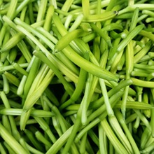 新鲜黄花菜现摘现发野生金针菜农家野菜时令蔬菜凉拌山东土特产鲜