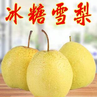 �S�����ѩ����Nֲ�������������籱�������޽��Ϸ�������Ʒ�N