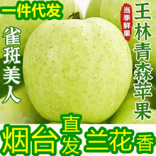 �ձ������O����ɭ�O�����rˮ��ȸ������5��9�̨�G�O���ЋDˮ��