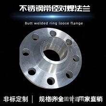 AMEB16.9ƌmLߏmPP321DN500PN40RF