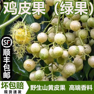 ��S�F؛�V�����r�uƤ��3��ɽ�SƤ���������ݾƏN���{ζ�����u