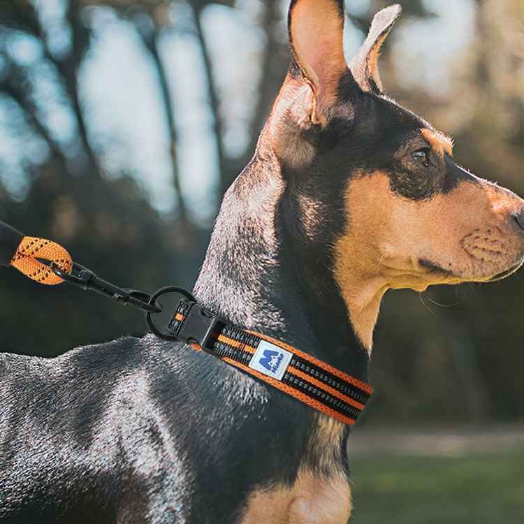 Collar para perros collar para perros collar para perros pequeños collar para perros collar para perros grandes collar para perros anti-estrangulamiento mediano peluche artículos de mascotas perros