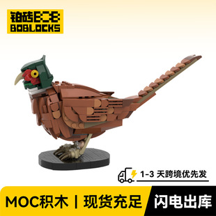 �K�uBOBlocks BZ-0200 ���u �羳����һ�����l