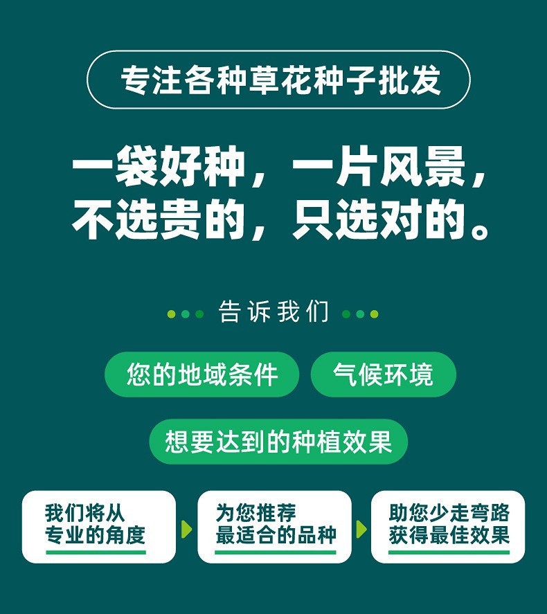 �ݻ���������