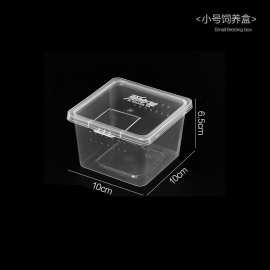 lk寄居蟹盒睫角跳蛛饲养箱跨境爬虫箱爬行动物螳螂人渣饲养盒养蚕