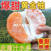 �S�������� �޽������� �S�����Ә䮔��Y�� �Ϸ������Nֲ������