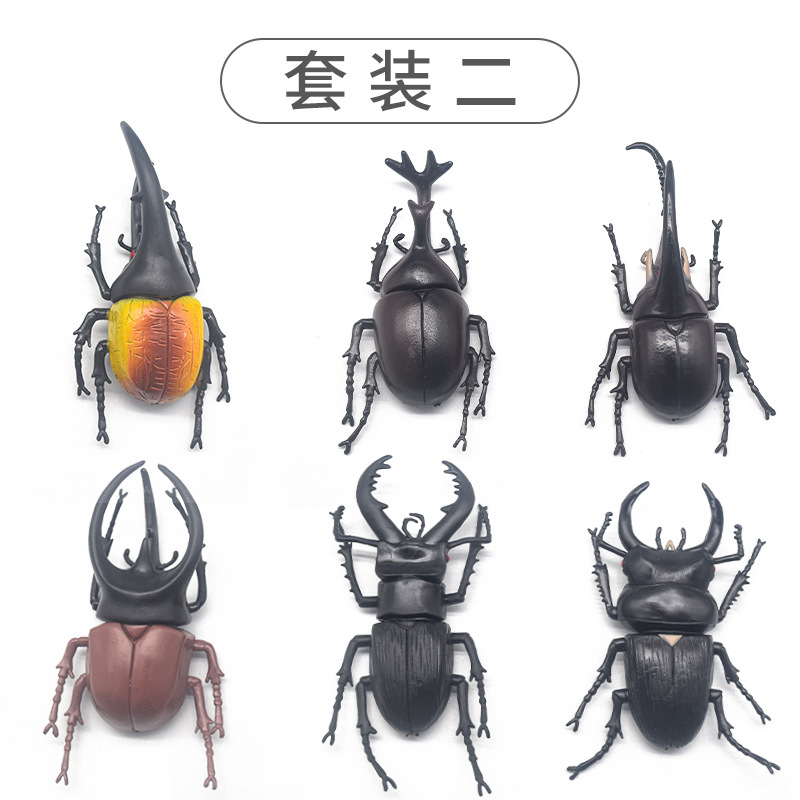 6 세트 (큰 딱정벌레)