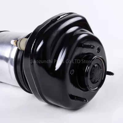 pneumatic shock absorber 37106874593, damping system
