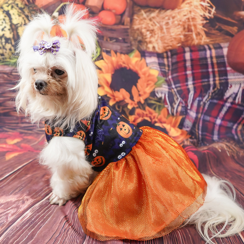 Perro falda mascota Halloween falda calabaza cráneo falda fábrica malla princesa perro pequeño peluche