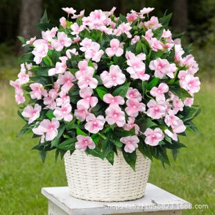 ���R�d�����P�ɻ��ٻ��҃��b����ƺ���@�̨¶̨�쾰���滨