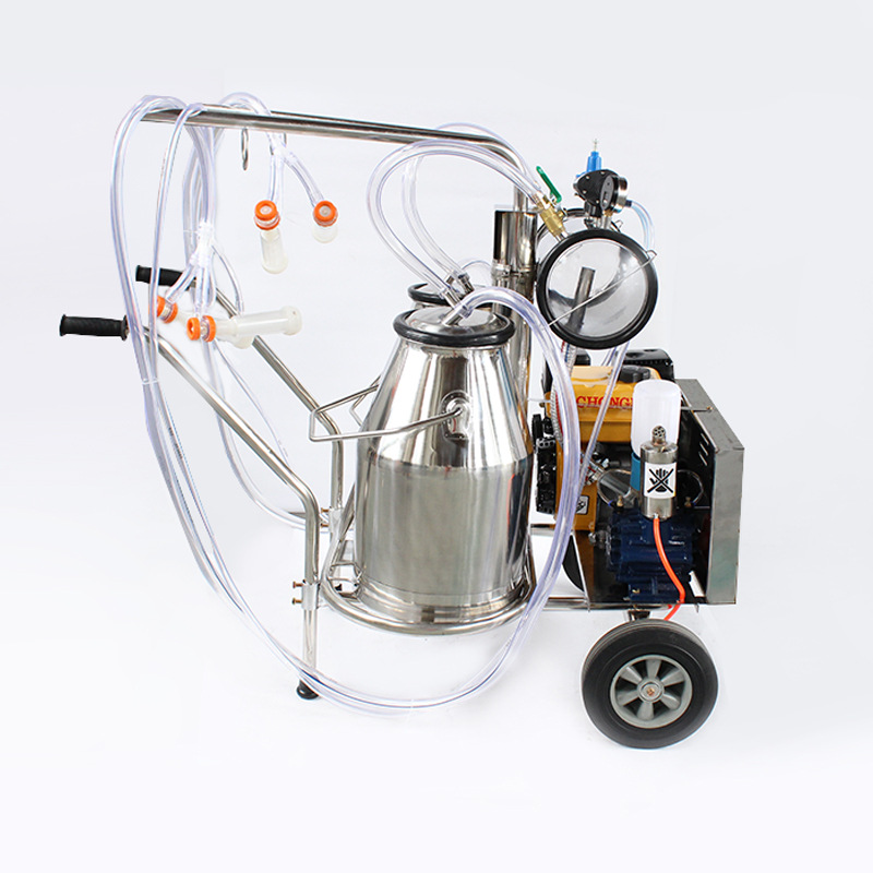 Ordeñadora Motor Gasolina — Equipo Ganadero Doble Propósito