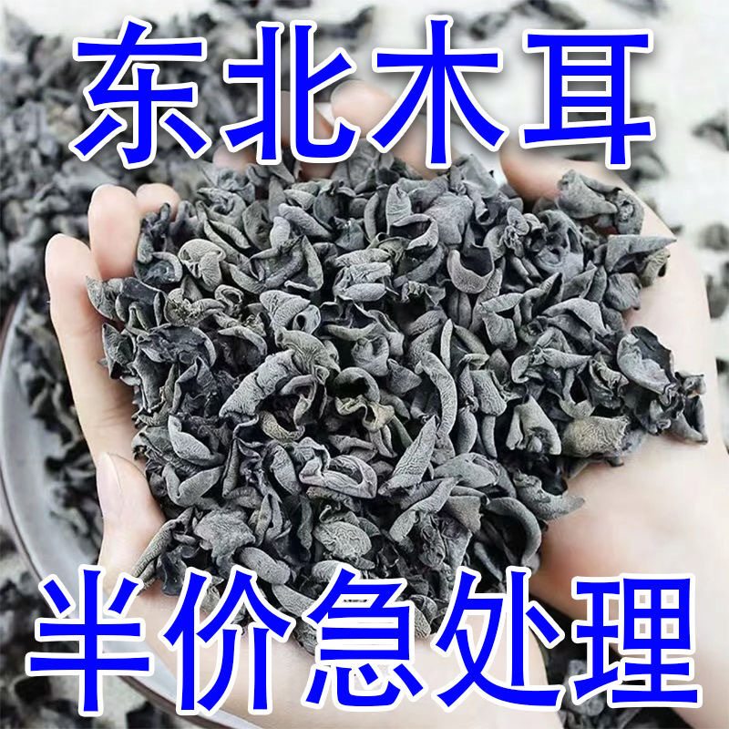 【乾燥剤なしの正味重量】東北黒きくらげ 500g 乾物 特小ボウルきくらげ 根なし乾燥きくらげ|undefined