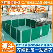 正红畜牧设备育肥猪围栏PP材质挡板绿色围板养殖场专用