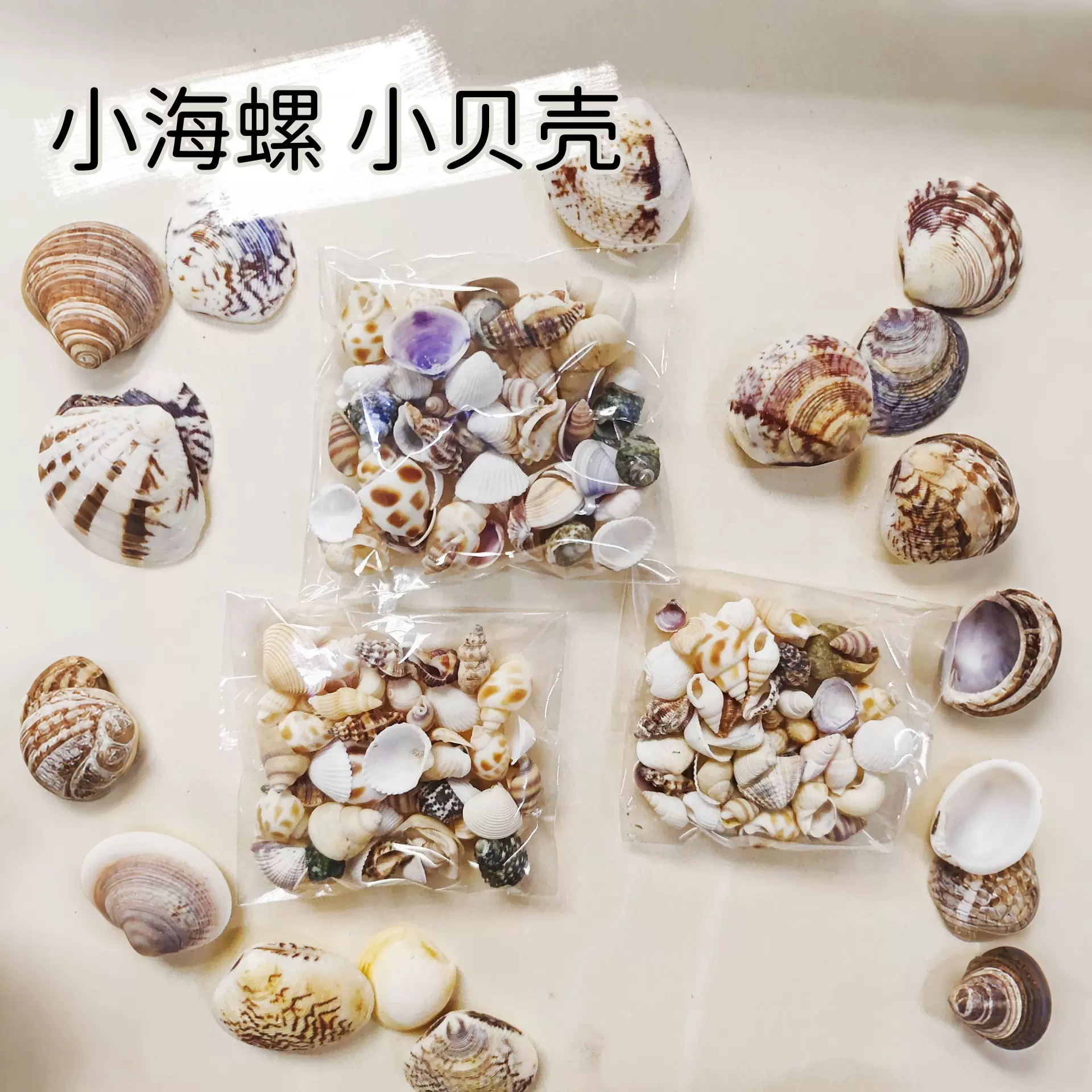 袋装天然贝壳海螺套装幼儿园儿童手工材料包鱼缸造景DIY海洋产物