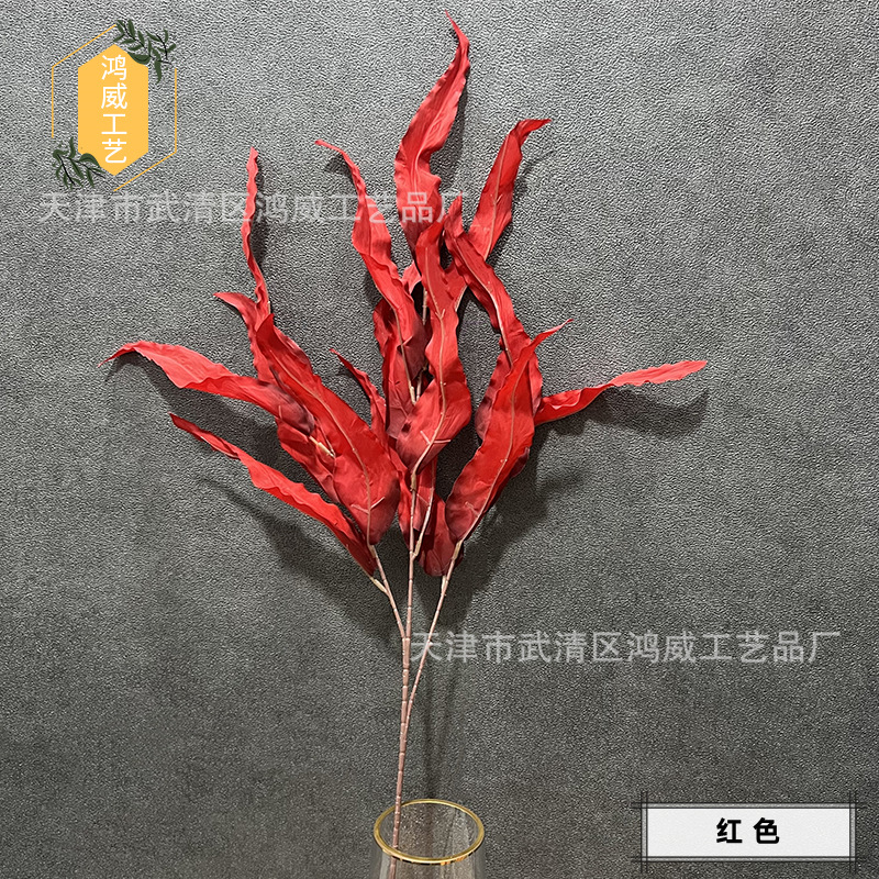 레드