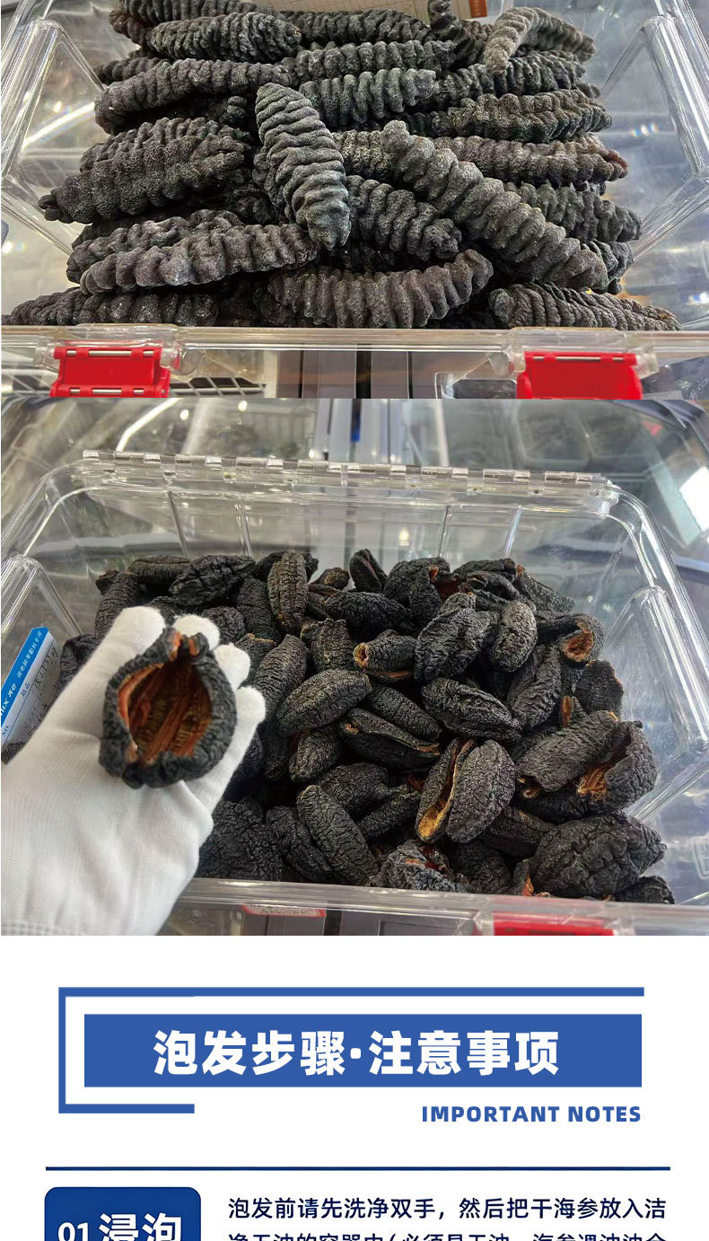 Dalian Dried Sea Cucumber Gift Box Premium Liaoning Lightly Dried Sea Cucumber 50g in use