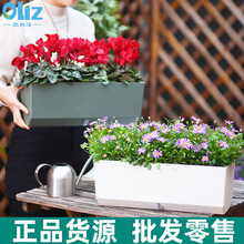 窗台窄花盆阳台懒人种植自吸水种菜盆蔬菜种植箱种菜盆栽花盆批发