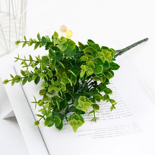 Simulation Yugaoli Money Leaf Wedding Decoration Plant Background Wall with grass Persian leaf fern green plants wholesale