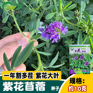 ���t�ϻ���ޣ�˷N�� ������ʳ��Ұ���u���Z��ޣ���� �ˈ@�r���߲�