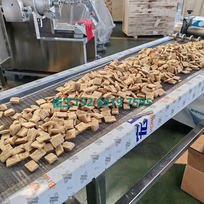 植物组织蛋白素肉生产线豆蛋白全套生产线 蛋白源头厂家PLC控制