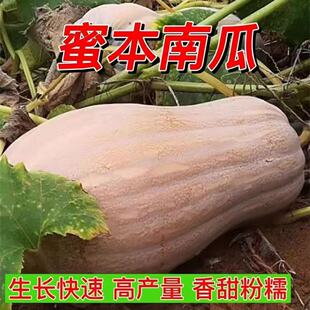 �۱��ϹϷN���＾���|�߲˹Ϲ��߮a���Ϲ��ܱ��ϹϷN�����\ݔ�׷N