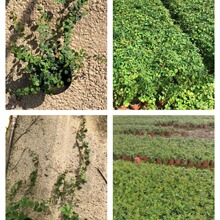 ���� ���� ޵�� ���ٻ��� ���۲� ���G���پGֲ���l