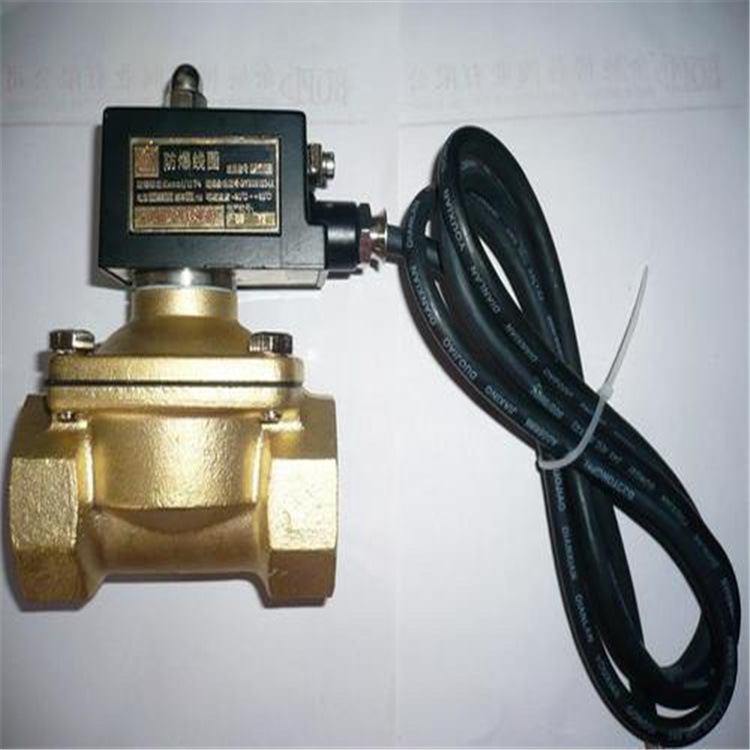 ZCM-250-25煤气防爆电磁阀HUAYU隔爆ZCF-25W圆星KSD SANYE NBFYD