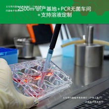 tҺָʾ׷ӾGWҺָʾ|zy׻