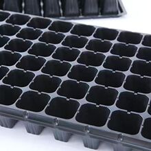 ��ݮ���t�������߲˶���Ǥ��I�B���籭�N�������ϱ����ȼ�����u