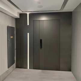 一门一景入户门子母门进户别墅大门自建房门甲级防盗门家用铸铝门