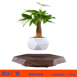 塑料工艺品;展示架;其他装饰摆件