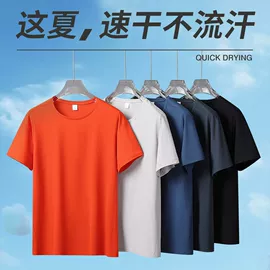 冲锋衣、裤;运动T恤;户外皮肤衣/防晒衣