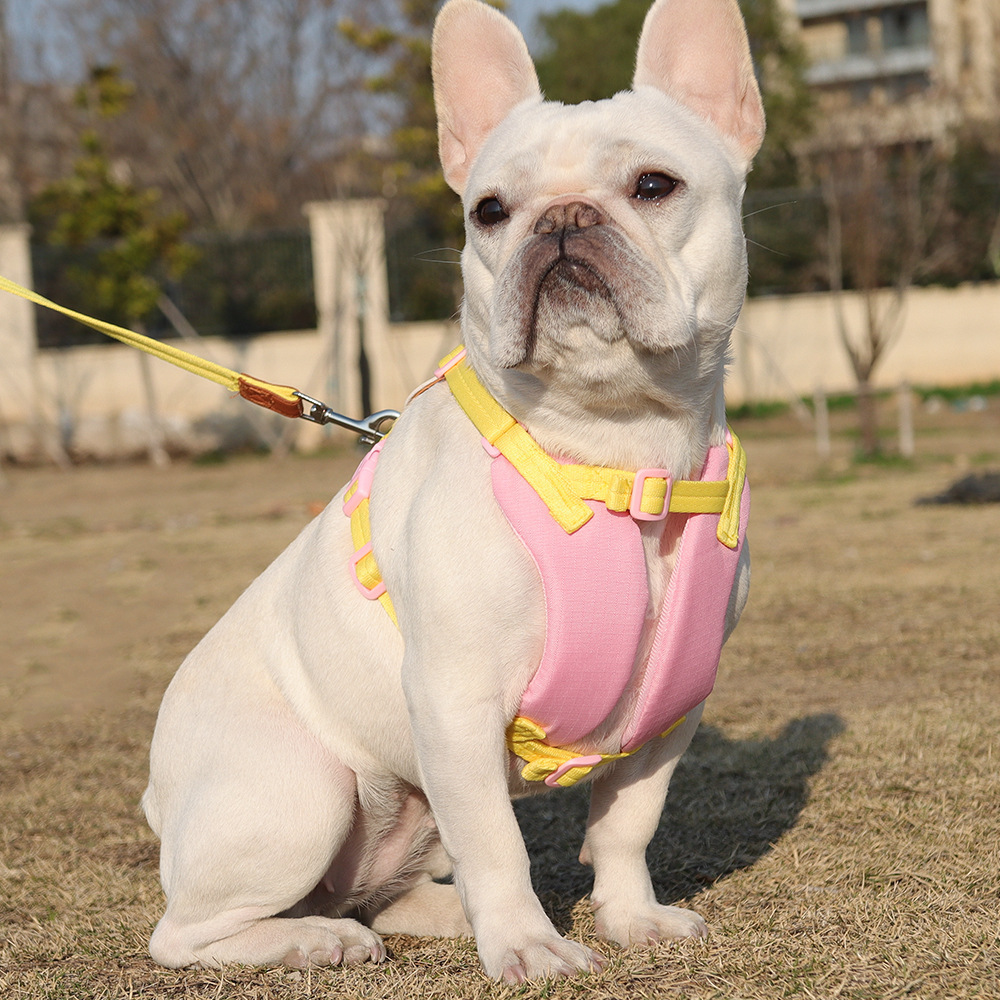 Cute Cartoon Dog Carrier Small Pet Leash for Teddy Corgi Bichon Frise Outdoor Nylon Seat Belt Casual Printing Style Summer Clearance Sale_voghion.com
