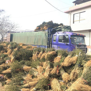 �������ך���G�h���̘���h�ʖř��F�hկ�׌���޽���ľ�oԺֲ��