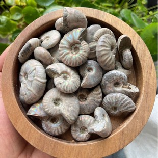 ���l��Ȼ�߲���ؐ��ԭʯ �߲ʺ���ؐ���̌W�˱�DIY�Ʒ�������